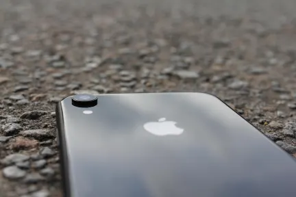 Pelican Kasino Apl Mudah Alih